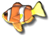 Captcha image 9677
